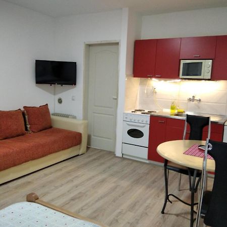 Apartman 4 - Studio Janja Sokobanja Eksteriør billede
