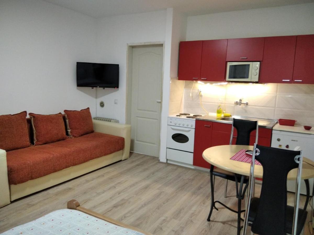Apartman 4 - Studio Janja Sokobanja Eksteriør billede