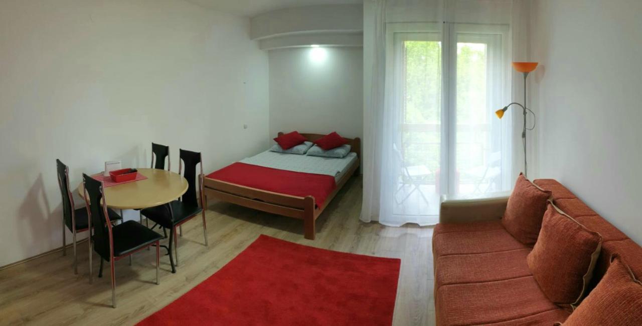 Apartman 4 - Studio Janja Sokobanja Eksteriør billede