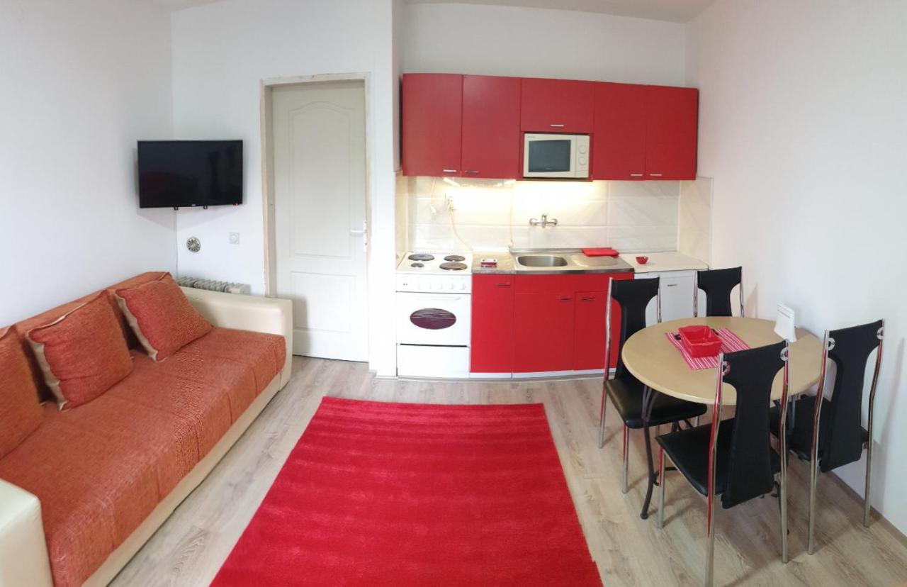 Apartman 4 - Studio Janja Sokobanja Eksteriør billede
